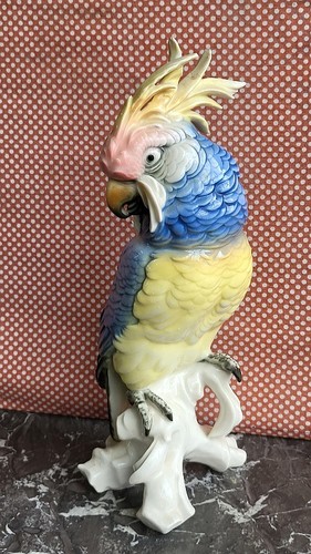 Perroquet porcelaine - perroquet,