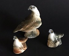 RAPACE AIGLE VAUTOUR ET SES 2