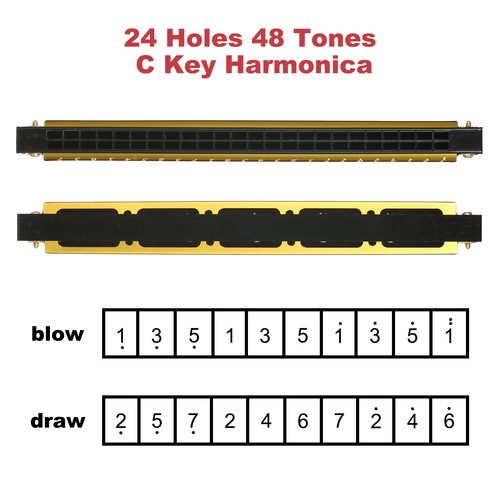 Harmonica professionnelle - professionnelle, en
