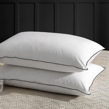 Oreiller en Plumes 40x80 avec