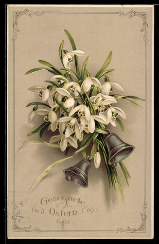 Carte postale perce - -neige, et