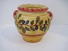 Williams-Sonoma 6" Olive