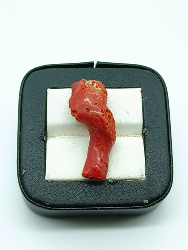 Branche brute corail rouge - branche, de