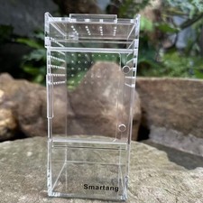 Terrarium en acrylique