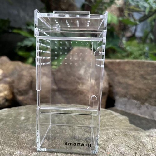 Terrarium acrylique - terrarium,