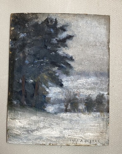 Paysage forêt neige - forêt,