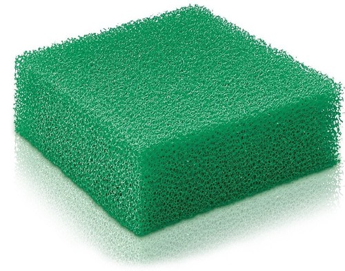 Mousse verte fine x - verte,