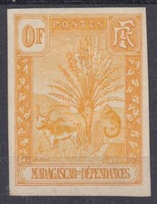 MADAGASCAR ZEBU RAVENALA ESSAI