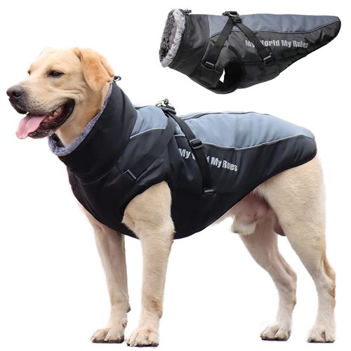 Manteau imperméable pour - manteau,