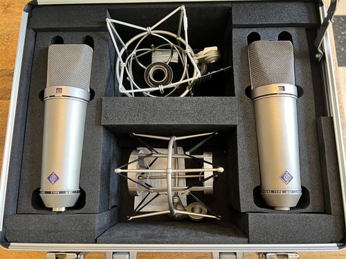 Neumann stereo pair - u,