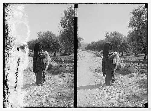 Photo woman veiled figure - photo:woman,