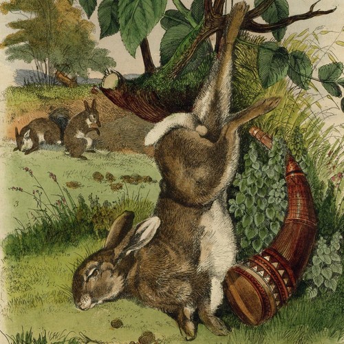 Décoration chasse lapin - décoration,