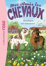 Mes amis les chevaux 16 -