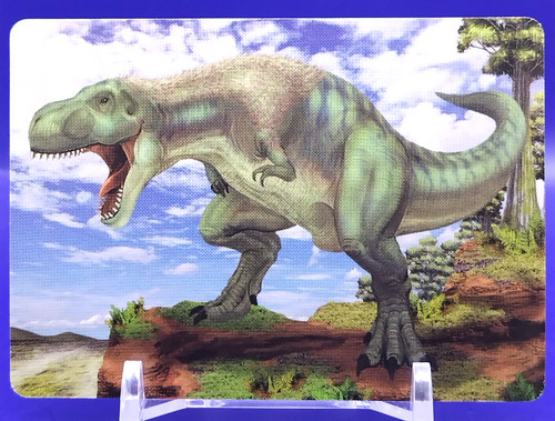 Cartes tyrannosaurus - cartes, /