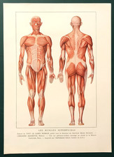 Illustration en couleurs (vers