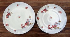 Plats ronds en porcelaine de Limoges (RAYNAUD)