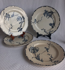 Assiettes anciennes HB&C