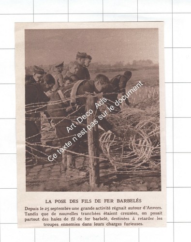 1914 belgique anvers - la, pose