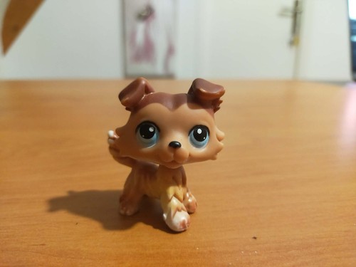 Colley petshop lps - colley, petshop,