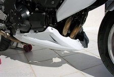 Sabot Moteur ERMAX pour KAWASAKI Z 1000 2007/2008