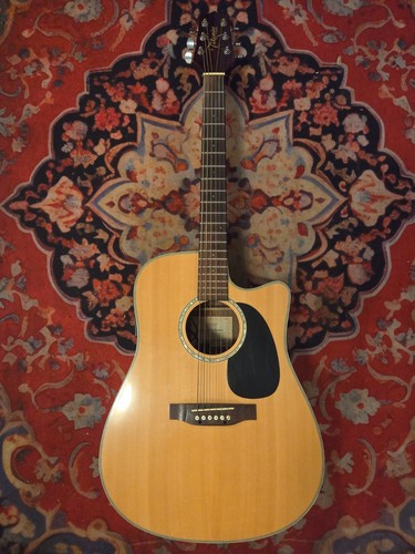 Takamine series model - series,