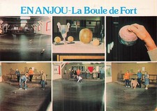 49 SAINT GERMAIN SUR LOIRE LA