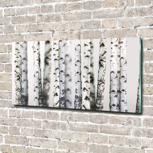 Tulup image sur verre trempé - verre,