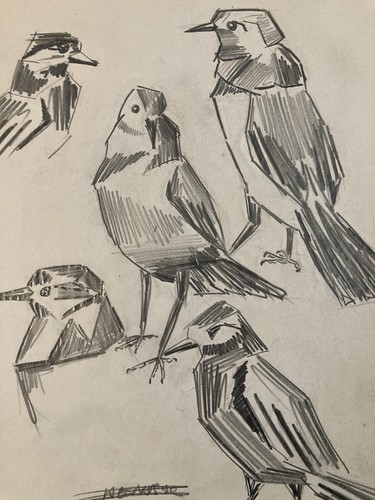 Beau dessin oiseau mine - mine, de