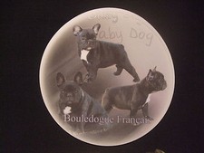 Tapis souris bouledogue - -,