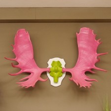 Élan Immense Trophée De