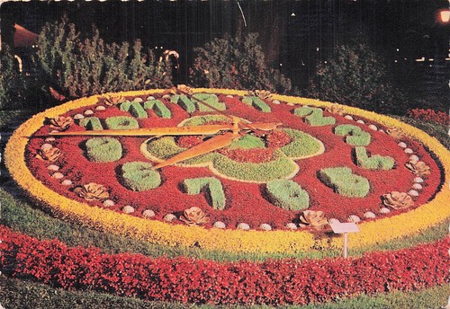 Suisse geneve horloge fleurie - suisse,