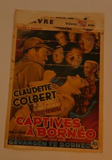 Captives borneo claudette - a,