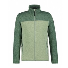 Icepeak Agen vert, veste polaire homme