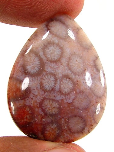 Cabochon pierre corail - cabochon,