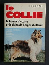 Collie Fiorone - Berger d'Ecosse Shetland Race - Vecchi Dressage Elevage Chien