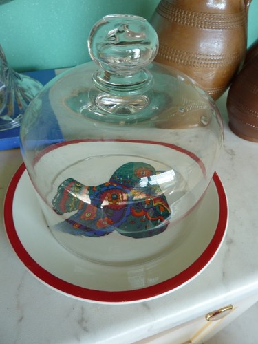 Petite cloche fromage - cloche, à