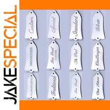 JakeSpecial – Stainless Steel Truss Rod Cover for Gibson Models