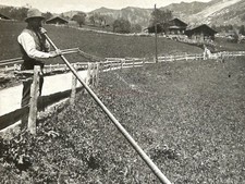 SUISSE Grindelwald Joueur de