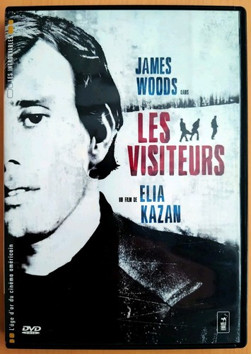 Dvd les visiteurs - dvd,