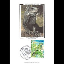 CM soie - Iguane des Antilles - 28/4/2007 Paris