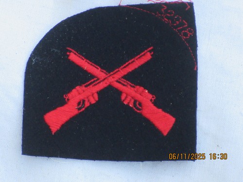 Royal navy badge - royal,
