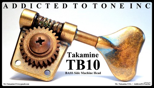Takamine tb10 bass - tb10,