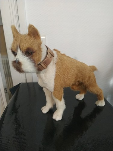 Chien réaliste vrai - réaliste,