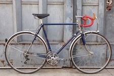 Alex Singer Randonneuse 