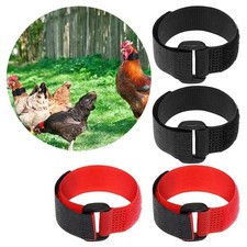 4x Colliers de Poulet No-Crow