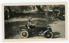 PHOTO snapshot c1900, un chien au volant d’une voiture à pédales gag
