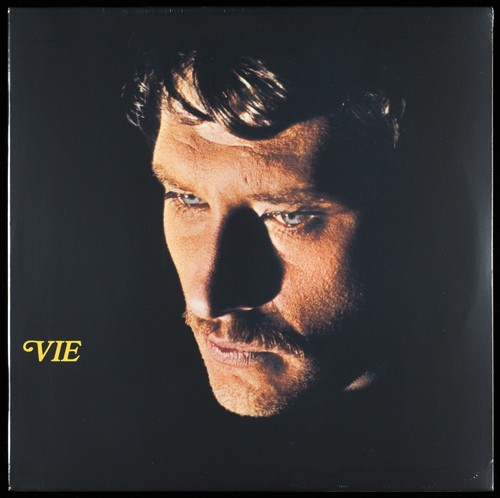Johnny hallyday vie 2020 - johnny,