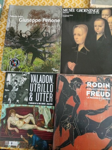 Lot livres art rodin - livres, art,rodin
