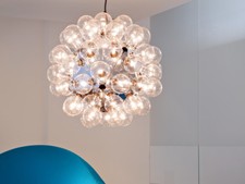 Flos taraxacum s1 - 88, avec
