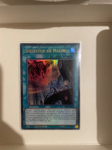 Serviteur de nadir - yu-gi-oh!,